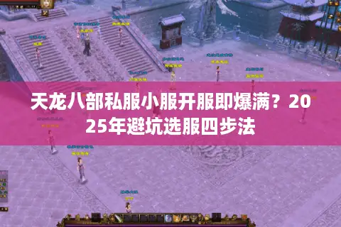 天龙八部私服小服开服即爆满?2025年避坑选服四步法 天龙八部私服小服开服即爆满?2025年避坑选服四步法