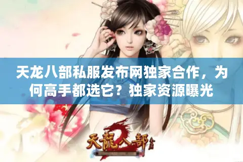 天龙八部私服发布网独家合作，为何高手都选它？独家资源曝光