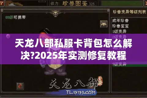 天龙八部私服卡背包怎么解决?2025年实测修复教程