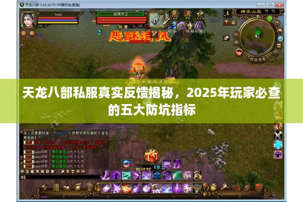 天龙八部私服真实反馈揭秘，2025年玩家必查的五大防坑指标