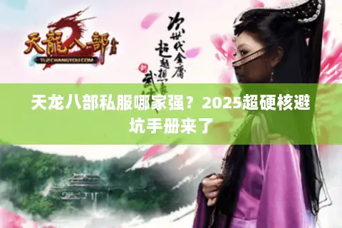 天龙八部私服哪家强？2025超硬核避坑手册来了