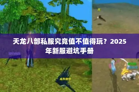 天龙八部私服究竟值不值得玩？2025年新服避坑手册