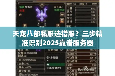 天龙八部私服选错服？三步精准识别2025靠谱服务器