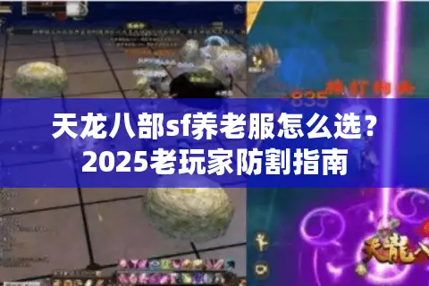 天龙八部sf养老服怎么选？2025老玩家防割指南