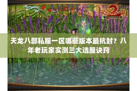 天龙八部私服一区哪些版本最抗封?八年老玩家实测三大选服诀窍 天龙八部私服一区哪些版本最抗封?八年老玩家实测三大选服诀窍