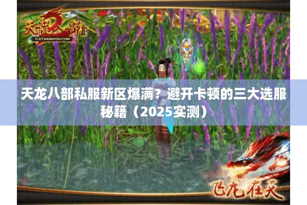 天龙八部私服新区爆满?避开卡顿的三大选服秘籍(2025实测) 天龙八部私服新区爆满?避开卡顿的三大选服秘籍(2025实测)