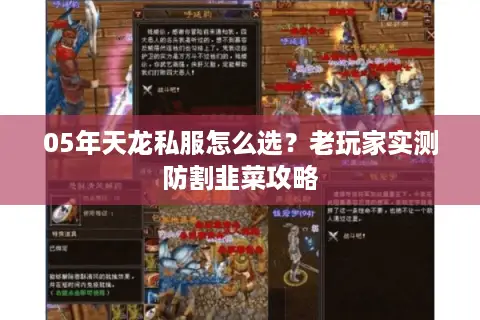 05年天龙私服怎么选？老玩家实测防割韭菜攻略