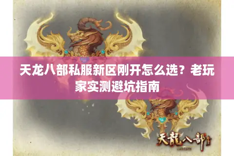 天龙八部私服新区刚开怎么选?老玩家实测避坑指南 天龙八部私服新区刚开怎么选?老玩家实测避坑指南