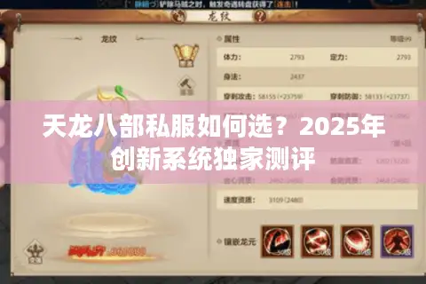 天龙八部私服如何选？2025年创新系统独家测评