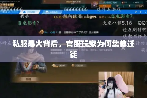 私服爆火背后，官服玩家为何集体迁徙