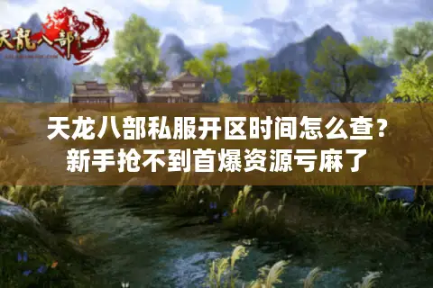 天龙八部私服开区时间怎么查？新手抢不到首爆资源亏麻了