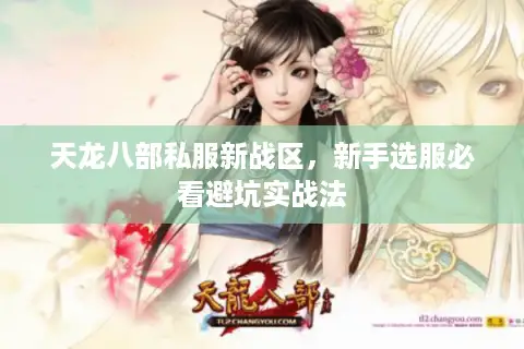 天龙八部私服新战区，新手选服必看避坑实战法