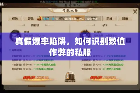 真假爆率陷阱,如何识别数值作弊的私服 真假爆率陷阱,如何识别数值作弊的私服
