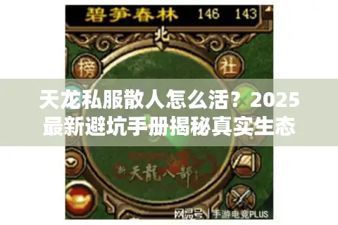 天龙私服散人怎么活？2025最新避坑手册揭秘真实生态