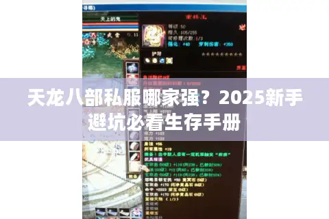 天龙八部私服哪家强？2025新手避坑必看生存手册