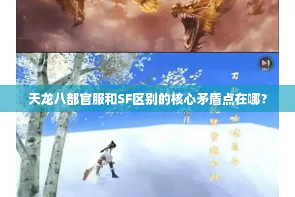 天龙八部官服和SF区别的核心矛盾点在哪？
