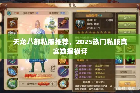 天龙八部私服推荐，2025热门私服真实数据横评