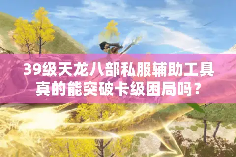 39级天龙八部私服辅助工具真的能突破卡级困局吗？