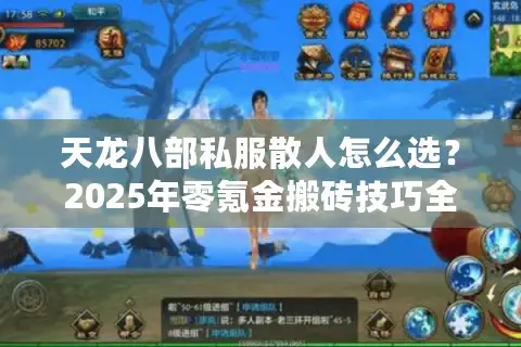 天龙八部私服散人怎么选？2025年零氪金搬砖技巧全解析