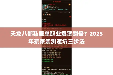 天龙八部私服单职业爆率翻倍？2025年玩家亲测避坑三步法