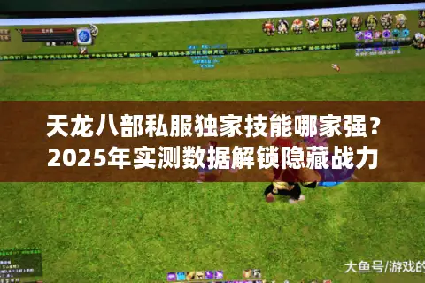 天龙八部私服独家技能哪家强？2025年实测数据解锁隐藏战力