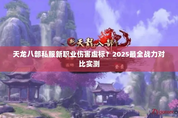 天龙八部私服新职业伤害虚标？2025最全战力对比实测