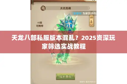 天龙八部私服版本混乱？2025资深玩家筛选实战教程