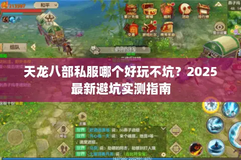 天龙八部私服哪个好玩不坑？2025最新避坑实测指南