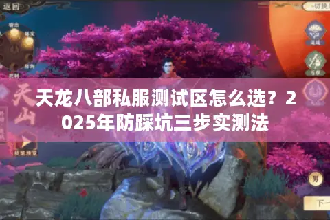 天龙八部私服测试区怎么选?2025年防踩坑三步实测法 天龙八部私服测试区怎么选?2025年防踩坑三步实测法