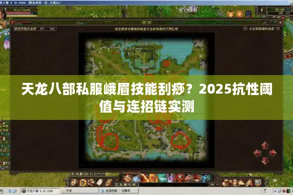 天龙八部私服峨眉技能刮痧？2025抗性阈值与连招链实测