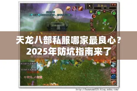 天龙八部私服哪家最良心？2025年防坑指南来了