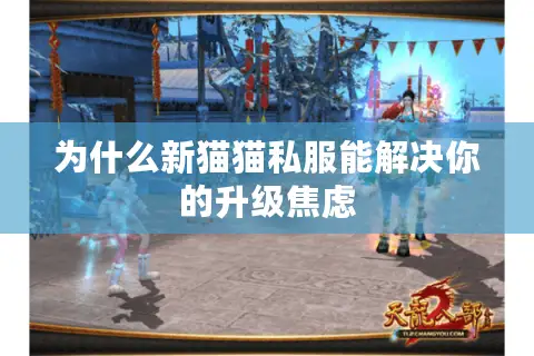为什么新猫猫私服能解决你的升级焦虑