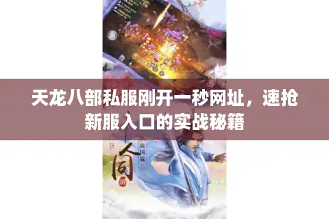 天龙八部私服刚开一秒网址，速抢新服入口的实战秘籍