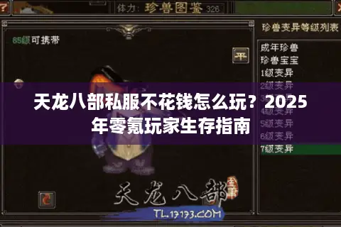 天龙八部私服不花钱怎么玩？2025年零氪玩家生存指南