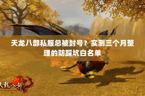 天龙八部私服总被封号？实测三个月整理的防踩坑白名单
