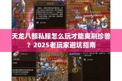 天龙八部私服怎么玩才能爽刷珍兽？2025老玩家避坑指南