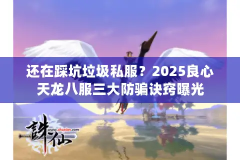 还在踩坑垃圾私服？2025良心天龙八服三大防骗诀窍曝光