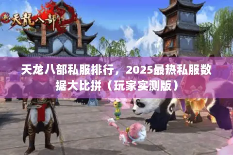天龙八部私服排行,2025最热私服数据大比拼(玩家实测版) 天龙八部私服排行,2025最热私服数据大比拼(玩家实测版)