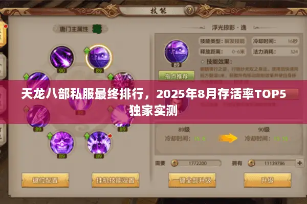 天龙八部私服最终排行,2025年8月存活率TOP5独家实测 天龙八部私服最终排行,2025年8月存活率TOP5独家实测