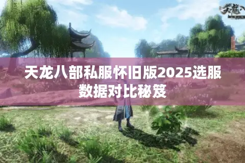 天龙八部私服怀旧版2025选服数据对比秘笈