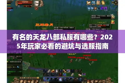 有名的天龙八部私服有哪些？2025年玩家必看的避坑与选服指南