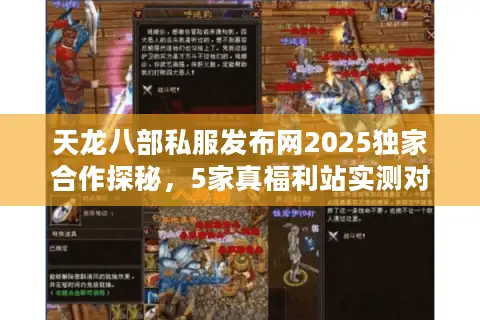 天龙八部私服发布网2025独家合作探秘，5家真福利站实测对比