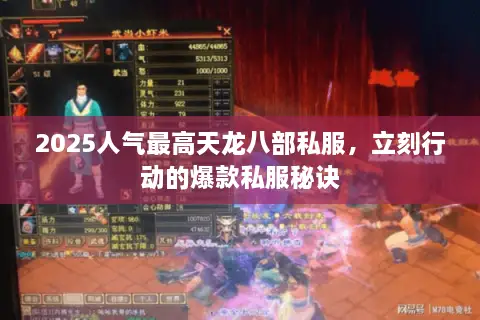 2025人气最高天龙八部私服，立刻行动的爆款私服秘诀