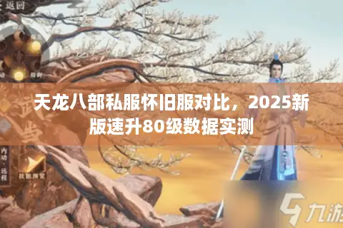 天龙八部私服怀旧服对比，2025新版速升80级数据实测