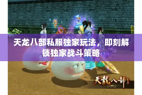 天龙八部私服独家玩法,即刻解锁独家战斗策略 天龙八部私服独家玩法,即刻解锁独家战斗策略
