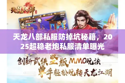 天龙八部私服防掉坑秘籍，2025超稳老炮私服清单曝光