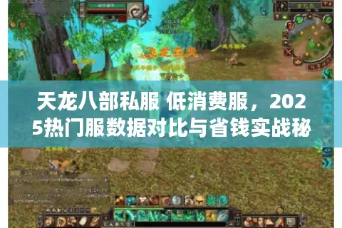 天龙八部私服 低消费服，2025热门服数据对比与省钱实战秘籍