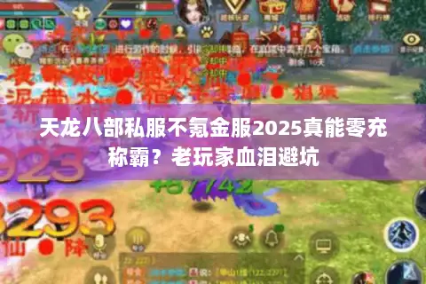 天龙八部私服不氪金服2025真能零充称霸？老玩家血泪避坑