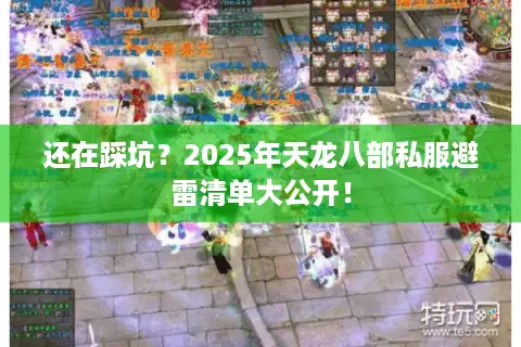 还在踩坑？2025年天龙八部私服避雷清单大公开！