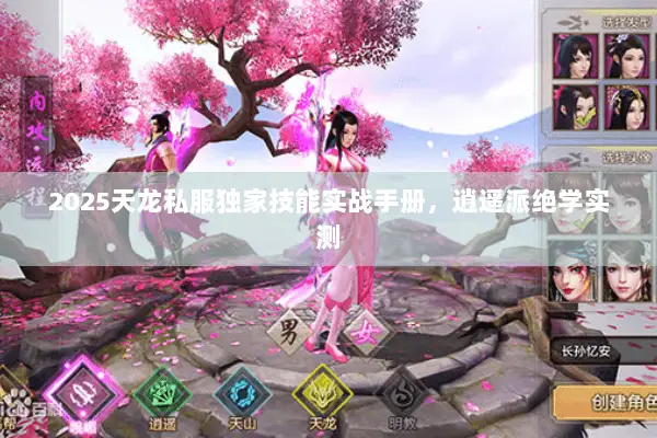 2025天龙私服独家技能实战手册,逍遥派绝学实测 2025天龙私服独家技能实战手册,逍遥派绝学实测